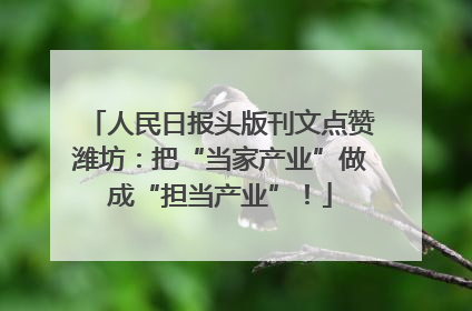 人民日报头版刊文点赞潍坊：把“当家产业”做成“担当产业”！