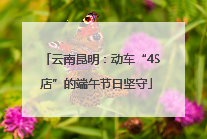 云南昆明：动车“4S店”的端午节日坚守