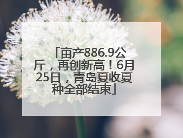 亩产886.9公斤，再创新高！6月25日，青岛夏收夏种全部结束