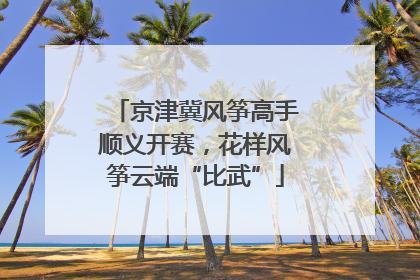 京津冀风筝高手顺义开赛，花样风筝云端“比武”