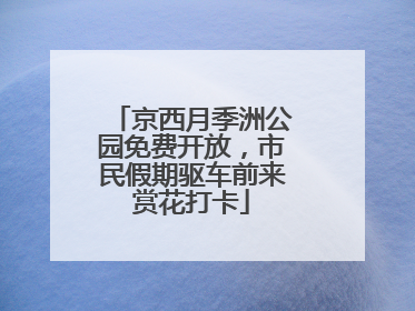 京西月季洲公园免费开放，市民假期驱车前来赏花打卡