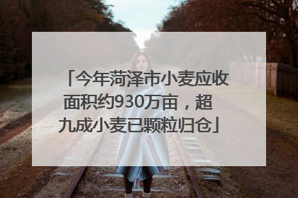 今年菏泽市小麦应收面积约930万亩，超九成小麦已颗粒归仓