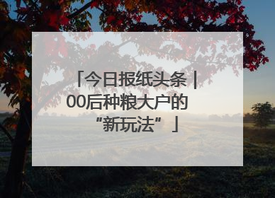 今日报纸头条｜00后种粮大户的“新玩法”