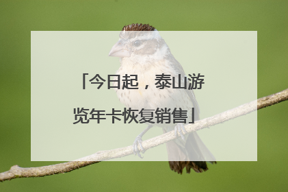 今日起，泰山游览年卡恢复销售