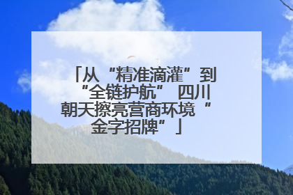 从“精准滴灌”到“全链护航” 四川朝天擦亮营商环境“金字招牌”
