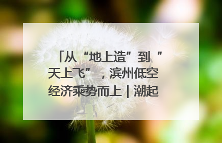 从“地上造”到“天上飞”，滨州低空经济乘势而上｜潮起渤海・网聚黄蓝