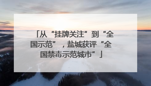 从“挂牌关注”到“全国示范”，盐城获评“全国禁毒示范城市”