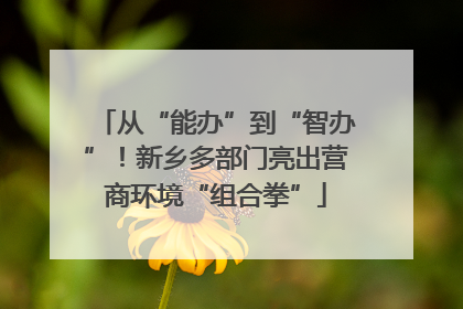 从“能办”到“智办”！新乡多部门亮出营商环境“组合拳”