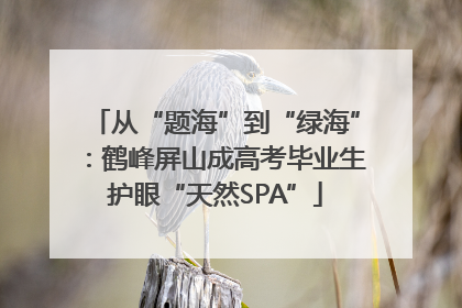 从“题海”到“绿海”：鹤峰屏山成高考毕业生护眼“天然SPA”