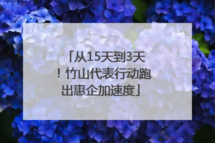 从15天到3天！竹山代表行动跑出惠企加速度