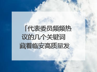 代表委员频频热议的几个关键词 藏着临安高质量发展的密码