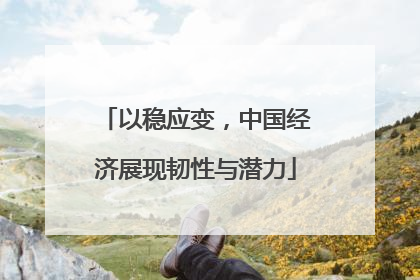 以稳应变，中国经济展现韧性与潜力