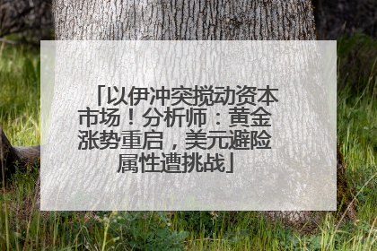 以伊冲突搅动资本市场！分析师：黄金涨势重启，美元避险属性遭挑战