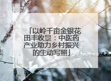 以岭千亩金银花田丰收景：中医药产业助力乡村振兴的生动写照