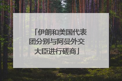 伊朗和美国代表团分别与阿曼外交大臣进行磋商