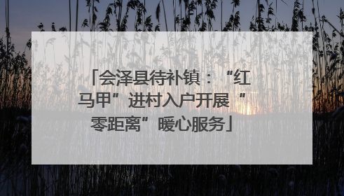 会泽县待补镇：“红马甲”进村入户开展“零距离”暖心服务