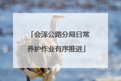 会泽公路分局日常养护作业有序推进