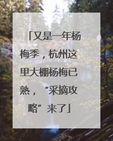 又是一年杨梅季，杭州这里大棚杨梅已熟，“采摘攻略”来了