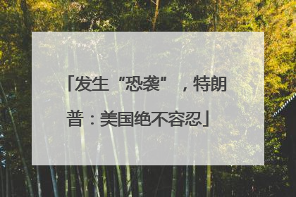 发生“恐袭”，特朗普：美国绝不容忍