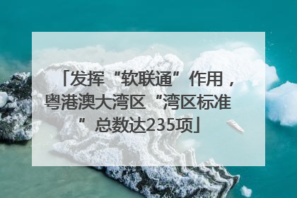 发挥“软联通”作用，粤港澳大湾区“湾区标准”总数达235项