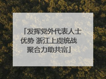 发挥党外代表人士优势 浙江上虞统战聚合力助共富
