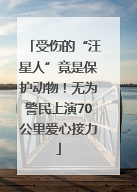 受伤的“汪星人”竟是保护动物！无为警民上演70公里爱心接力