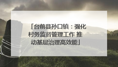 台前县孙口镇：强化村务监督管理工作 推动基层治理高效能