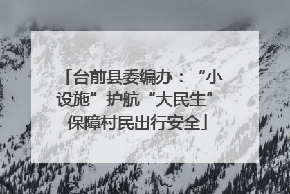 台前县委编办：“小设施”护航“大民生” 保障村民出行安全