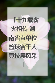 十九载薪火相传 湖南省直单位篮球赛千人竞技展风采