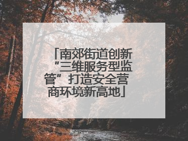 南郊街道创新“三维服务型监管”打造安全营商环境新高地