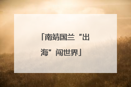 南靖国兰“出海”闯世界