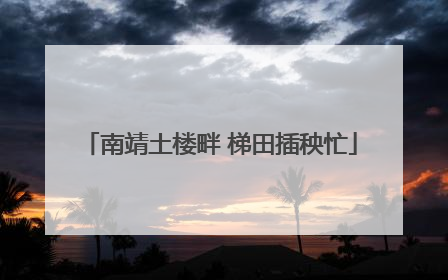 南靖土楼畔 梯田插秧忙