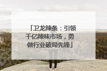 卫龙辣条：引领千亿辣味市场，勇做行业破局先锋