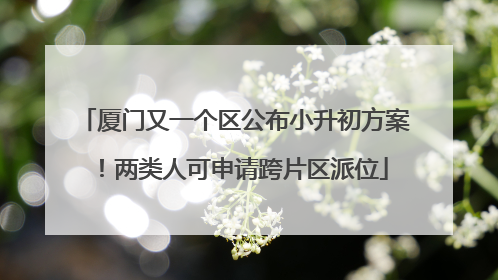 厦门又一个区公布小升初方案！两类人可申请跨片区派位