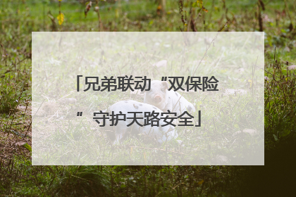 兄弟联动“双保险”守护天路安全