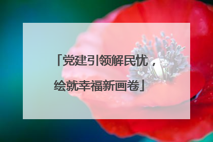 党建引领解民忧，绘就幸福新画卷
