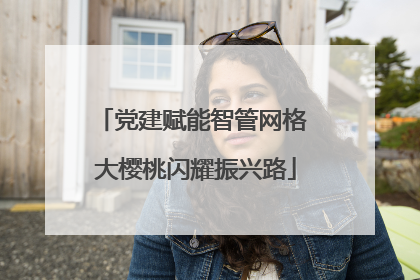党建赋能智管网格 大樱桃闪耀振兴路