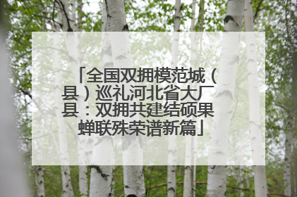 全国双拥模范城（县）巡礼河北省大厂县：双拥共建结硕果 蝉联殊荣谱新篇