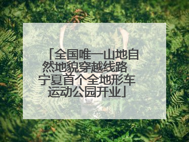 全国唯一山地自然地貌穿越线路 宁夏首个全地形车运动公园开业