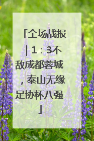 全场战报｜1：3不敌成都蓉城，泰山无缘足协杯八强