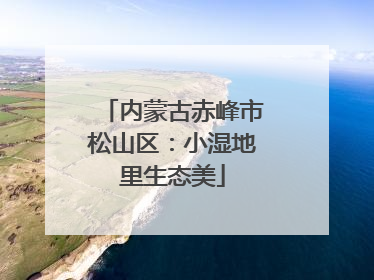 内蒙古赤峰市松山区：小湿地里生态美