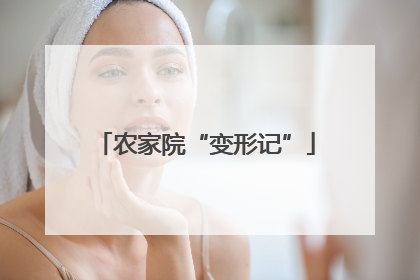 农家院“变形记”