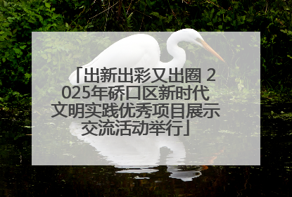 出新出彩又出圈 2025年硚口区新时代文明实践优秀项目展示交流活动举行
