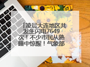 凌晨大连地区共发生闪电7649次！不少市民从熟睡中惊醒！气象部门提醒