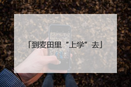 到麦田里“上学”去