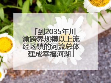 到2035年川渝跨界规模以上流经场镇的河流总体建成幸福河湖