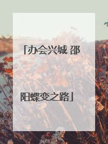 办会兴城 邵阳蝶变之路