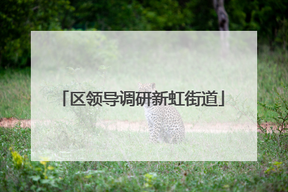 区领导调研新虹街道
