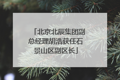 北京北辰集团副总经理胡浩获任石景山区副区长