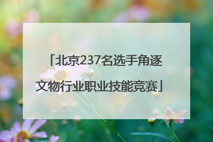 北京237名选手角逐文物行业职业技能竞赛